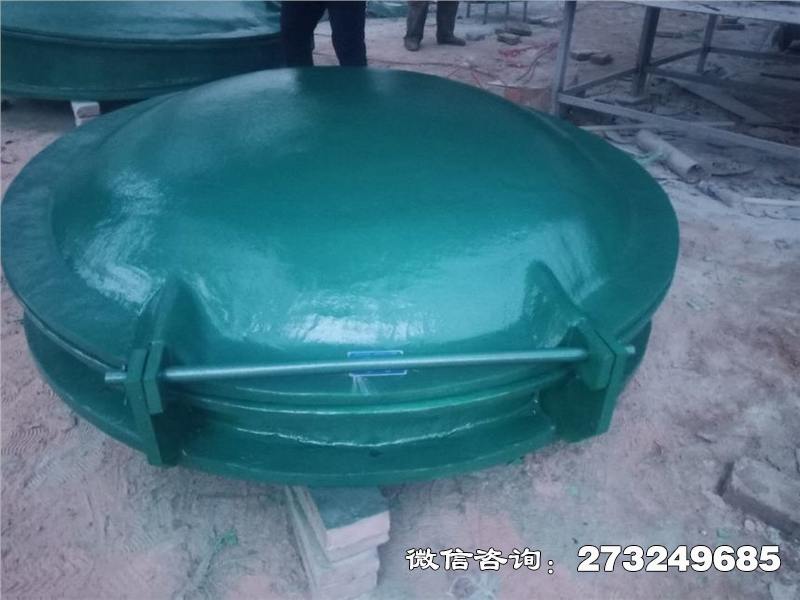 龙湾轻质玻璃钢拍门
