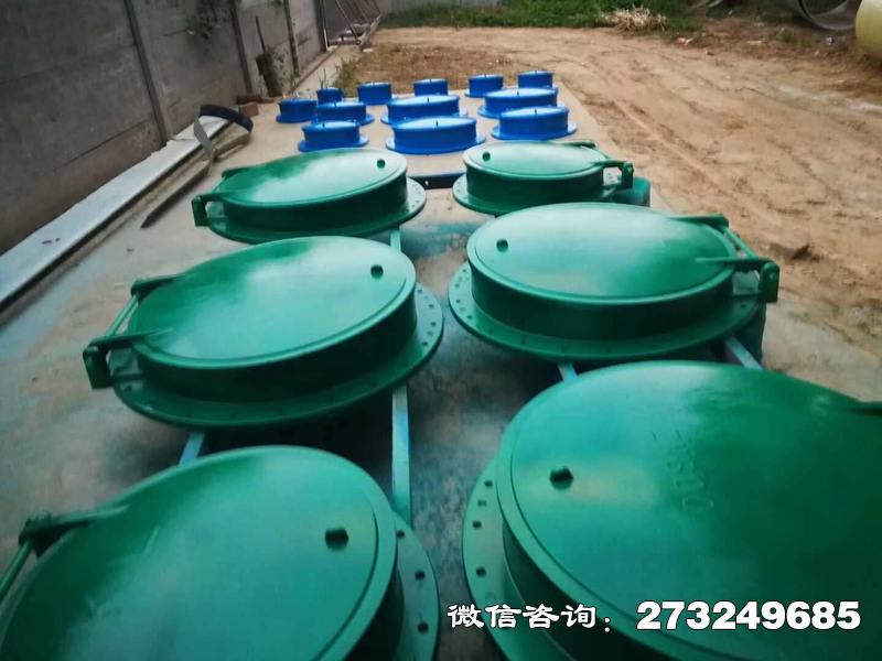 辉南县市政管道口玻璃钢拍门