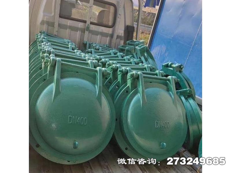 辉南县污水管玻璃钢拍门