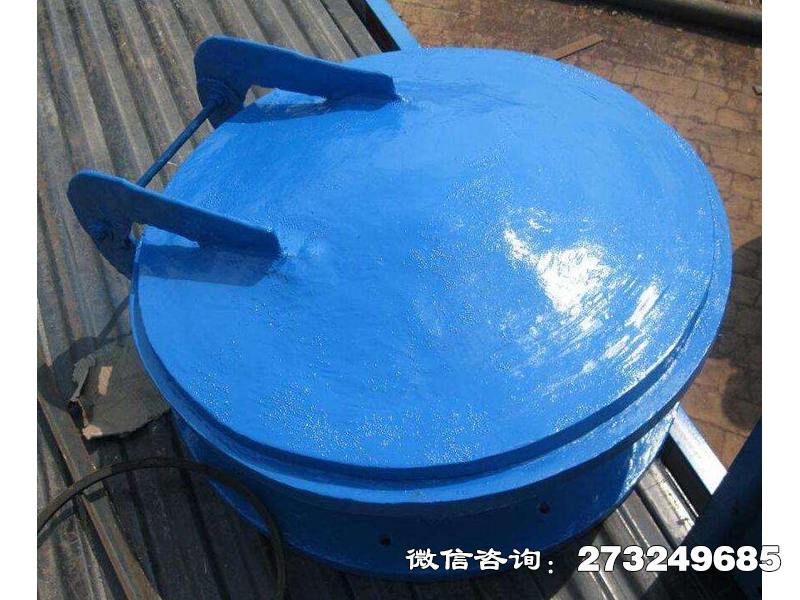 辉南县污水管用玻璃钢拍门