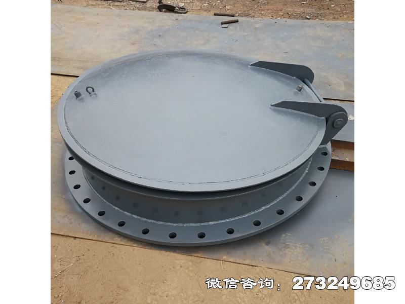 临翔不锈钢法兰连接拍门