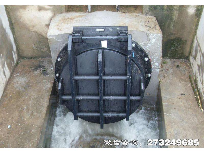龙湾钢制水渠拍门