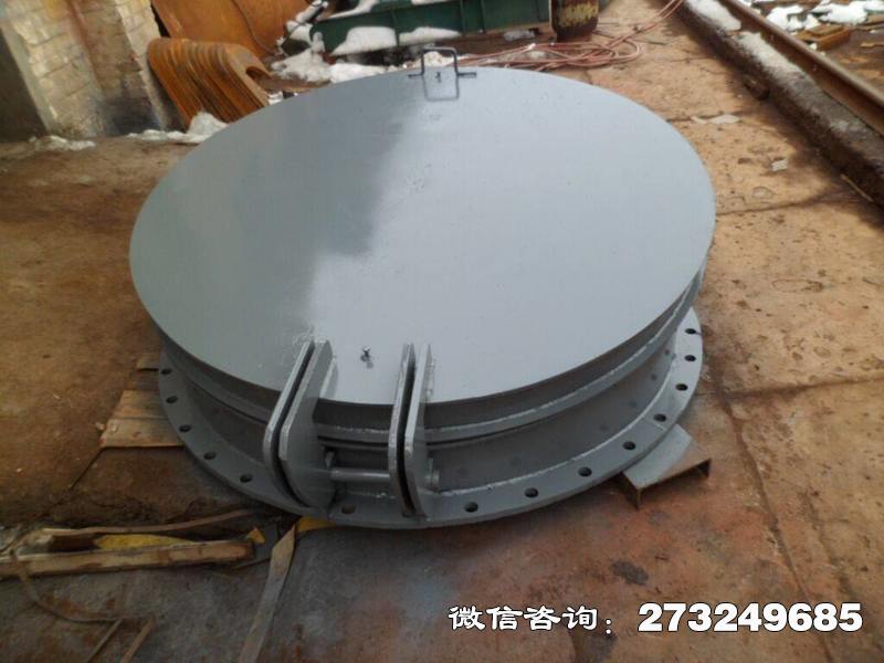 富平县水库铸铁拍门